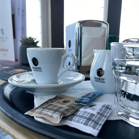 Panorama فندق 3*